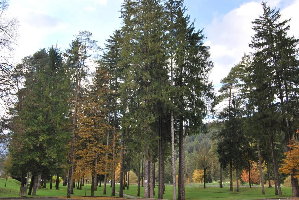 Residenza Finestra Sul Parco Apartman Comano Terme Kültér fotó
